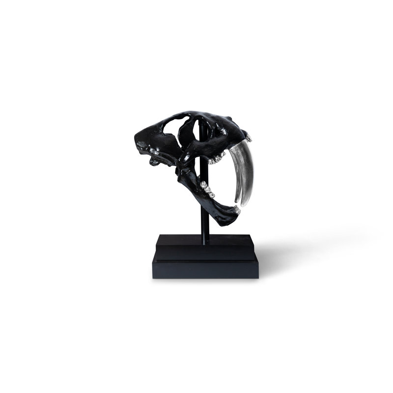Phillips Collection Saber Tooth Tiger Skull | Wayfair